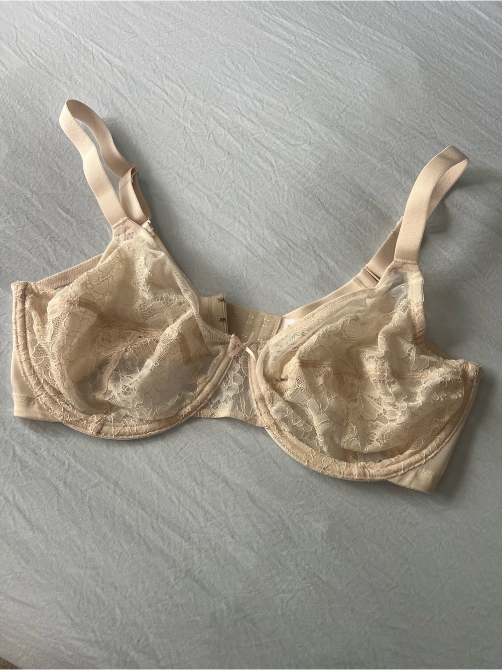 HSIA 36DD lace underwire bra nude